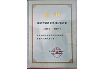湖北省制造业单项冠军企业